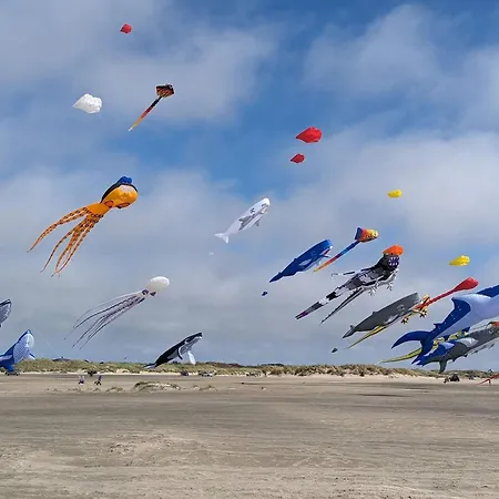 4 Person In Feriehus Fanø